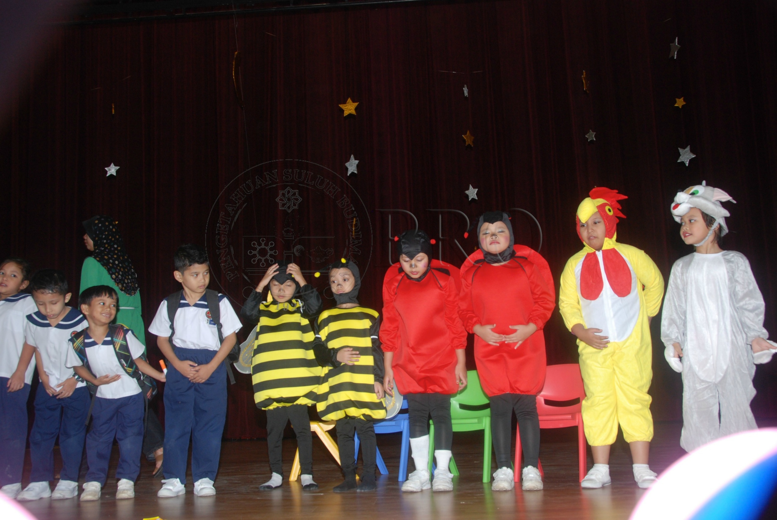 PRO 12 126 pkkk DSC 7515